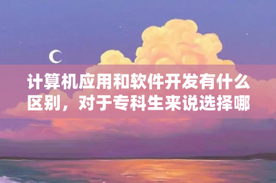 計算機軟件開發與應用 專科生的職業選擇與發展前景分析