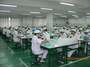 驗(yàn)貨公司驗(yàn)廠服務(wù) 為制造業(yè)保駕護(hù)航的全面解析